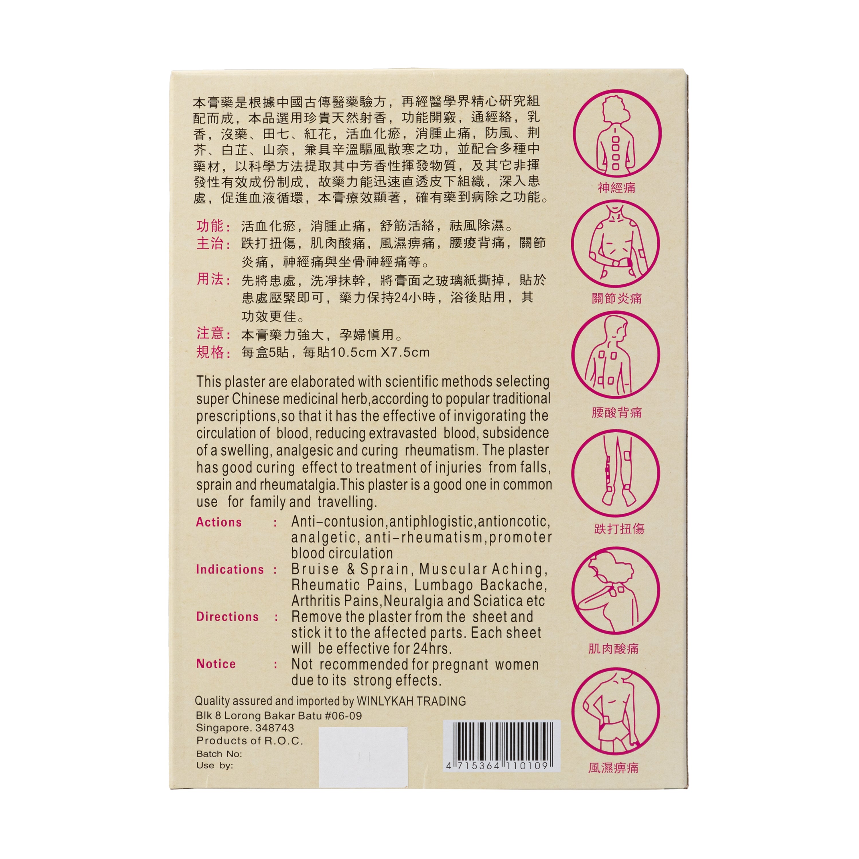 The Gold Standard Wong Fei-Hong Rheumatism Plaster